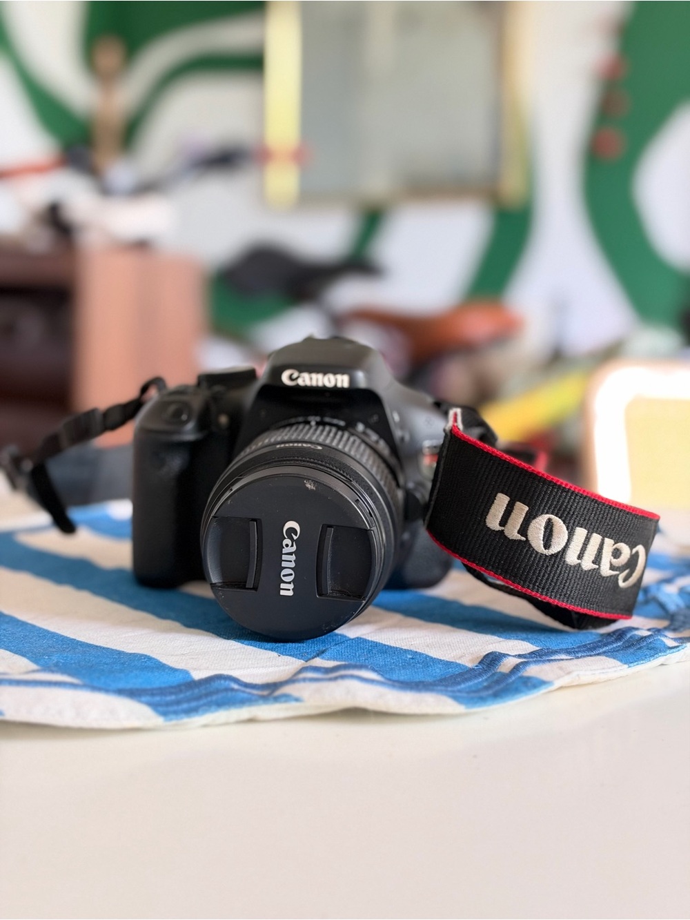 Canon EOS Rebel T3i DSLR with the Canon EF-S 18–55mm f/3.5–5.6 IS II lens.
